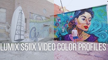 Panasonic S5iiX Video Color Profiles Compared