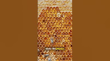 Why Honeycombs Are Perfect!