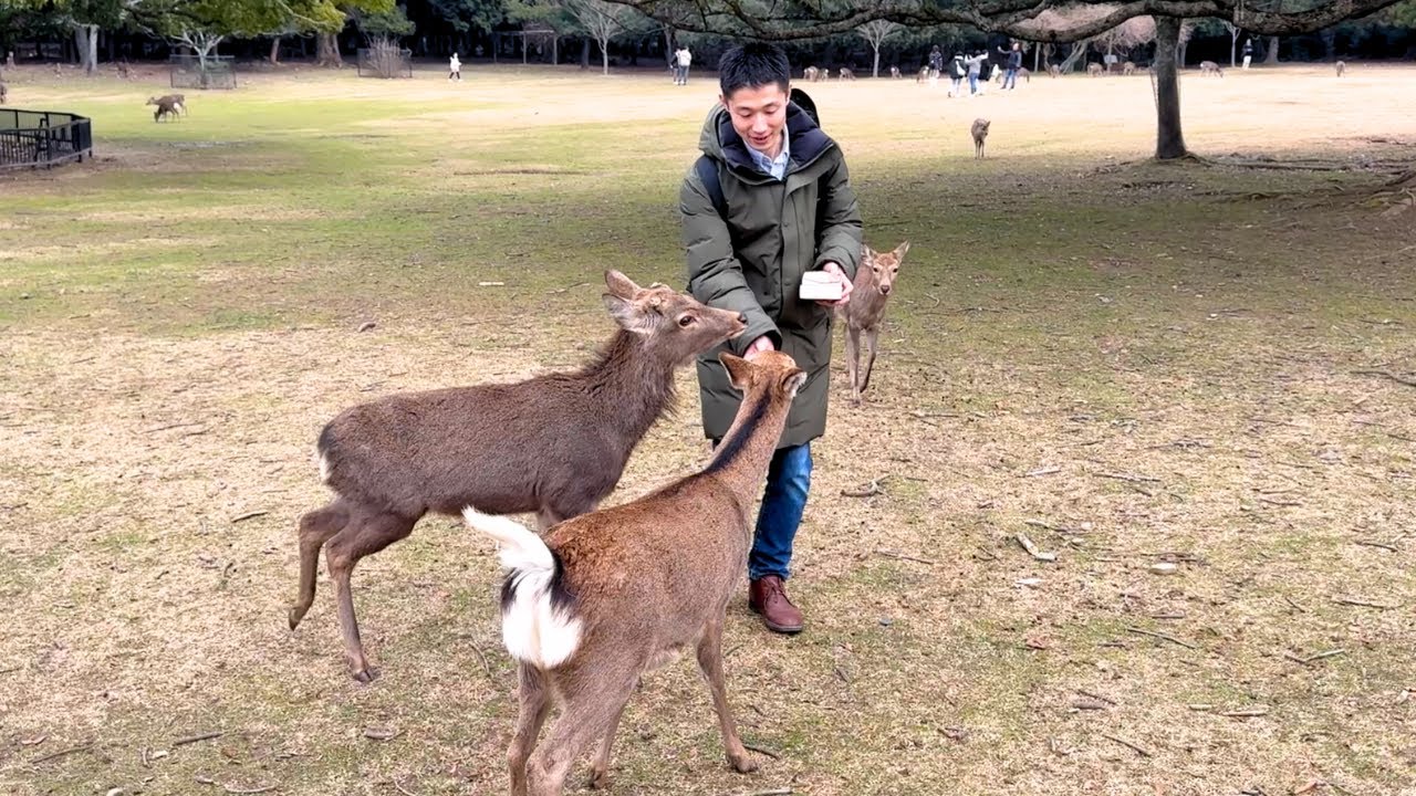 Visiting My Home Country Japan with My Finnish Girlfriend