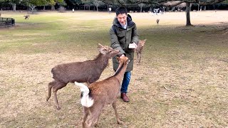 Visiting My Home Country Japan with My Finnish Girlfriend