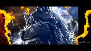 Anime Wolves-Invincible/Ruelle