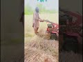 Harvesting wheat with Macheen#farming#harvesting wheat #viralvideo #reels #shorts #machine #harvest