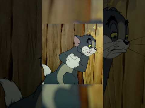 Tom'un başı civcivle dertte 🐣 #shorts #çizgfilm #nostalji #tomandjerry #tomvejerry