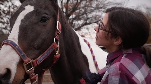 Multiple Sclerosis | Rachael