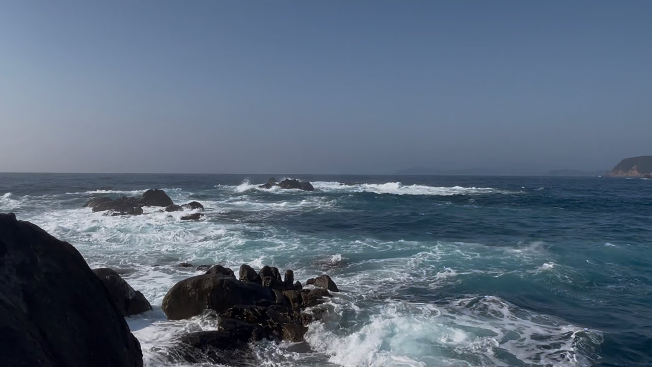 【大波🌊徳島県津島磯のグレ釣り】波が高く磯釣りには厳しい状況…はたしてグレは釣れるのでしょうか⁉️