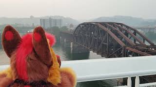 Ollie Train Watching At Anthrocon 2023
