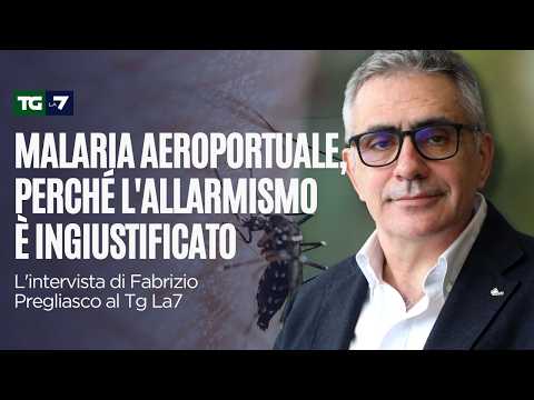 Video Malaria aeroportuale, perché il rischio di contagio è circoscritto e l'allarmismo è ingiustificato