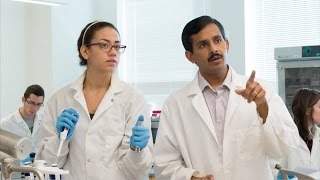 Graduate School at James Madison University (JMU) in Virginia USA