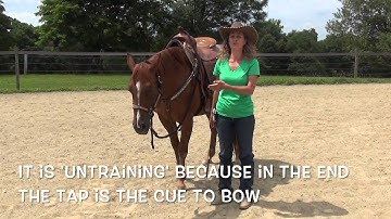 So close to teaching your horse to bow; tips for progressing.