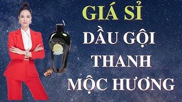 GIÁ SỈ DẦU GỘI TRỊ GÀU THANH MỘC HƯƠNG.