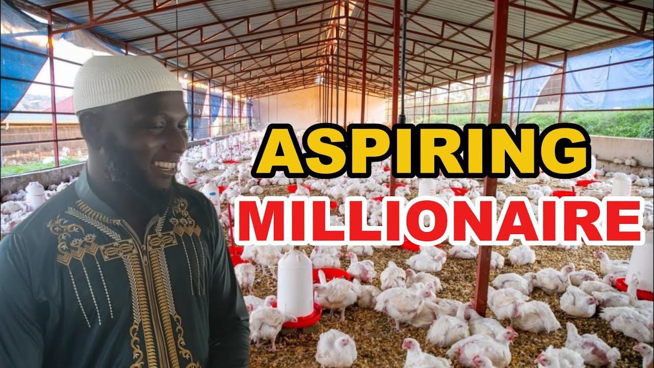 The Future of Poultry Farming in The Gambia