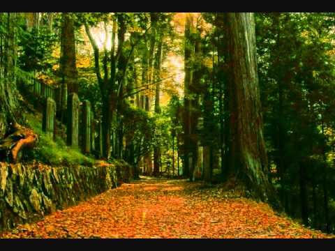 【歌ってみた】 ぼくたちの失敗／森田童子【Hikaru】