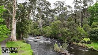 Warburton Riverside from the air, Warburton, Victoria, Australia