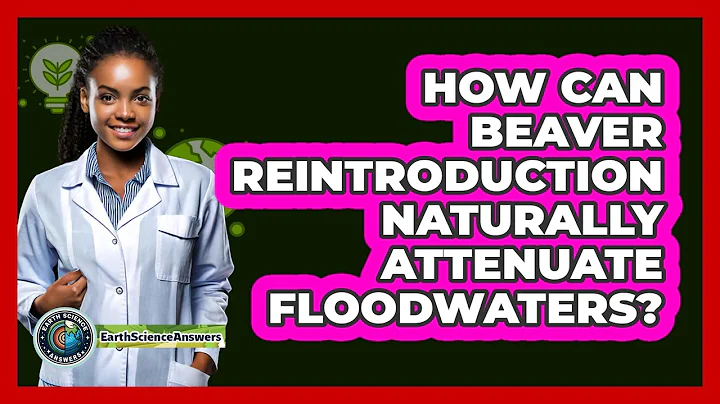 How Can Beaver Reintroduction Naturally Attenuate Floodwaters? - Earth Science Answers