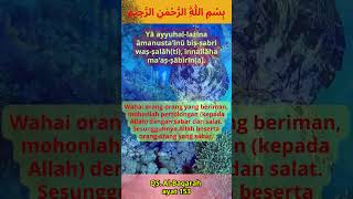 Albaqarah Ayat 153  Alquran U0026 Terjemah