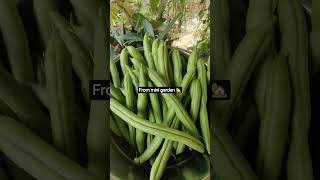The Best Thing In Life Is Homegrown 