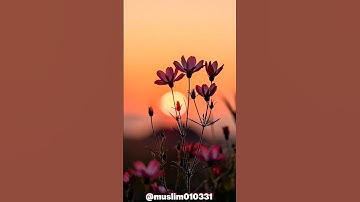 سورة آل عمران، من الآية 135، القارئ إسلام صبحي