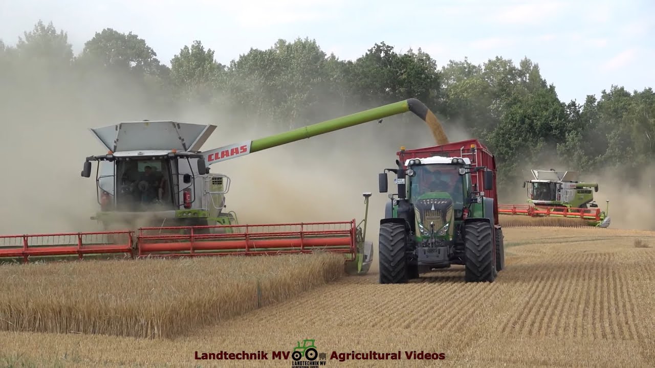 Claas - Fendt - Krampe - Fortuna / Getreideernte - Grain Harvest