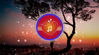 (No Copyright)Translucent City Lights-Arthuritis