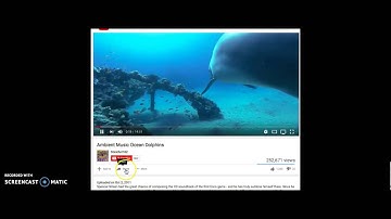 Embedding Videos to Yola