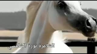 قصيدة 