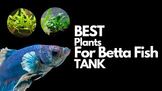 11 of The Best Plants for Betta fish (with STATS) screenshot 4