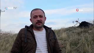 Kış Gelmeden Bahar Geldi, Kır Çiçekleri Açtı.