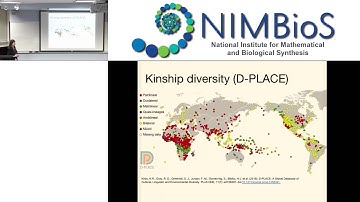 Modeling cultural evolution of social norms in structured populations