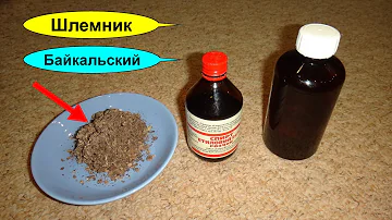 Шлемник Байкальский - уникальное растение для здоровья и лечения. Гипертония. Сердце. Неврозы