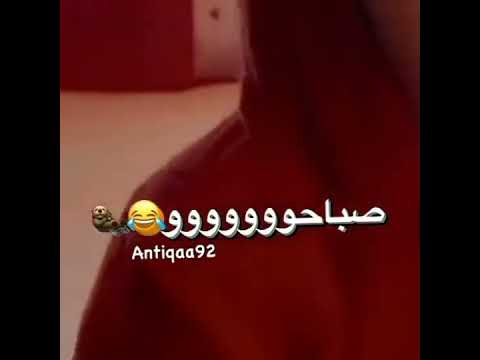صباحو ستوريات انستا مضحكه حالات واتس اب ستوريات كيوت