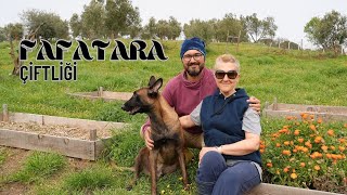 Two white collar workers choosing ECOLOGICAL life | “RETURN TO NATURE..!” (Fafatara Farm)