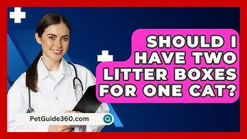 Should I Have Two Litter Boxes For One Cat? - PetGuide360.com