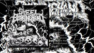 Steel Bearing Hand — Steel Bearing Hand