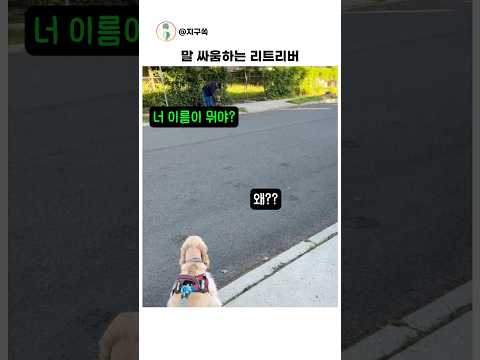강아지가 말을 한다면 #애완견 thumbnail
