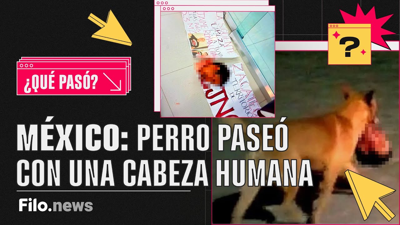 MÉXICO: un perro se paseó por ZACATECAS con una CABEZA HUMANA en su