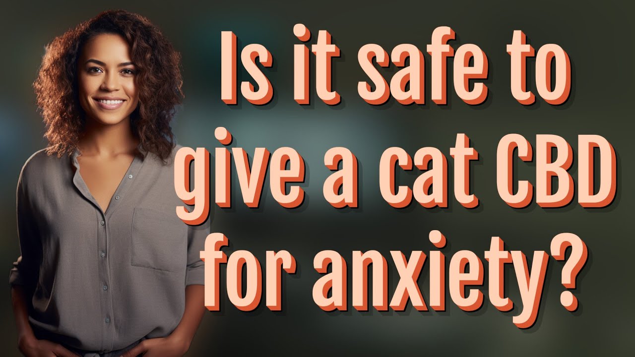 Is it safe to give a cat CBD for anxiety?