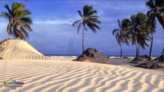 Bahia Magic   Ronny Jordan