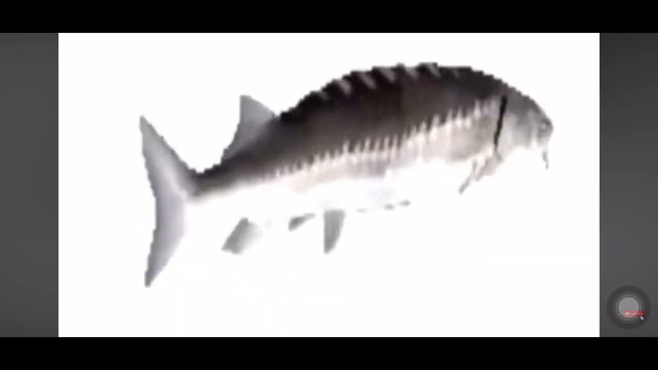 ASMR UNBOXING TOY EGG PLAYDOH FISH FLYING HAMBURGER BARBIE UNICORN FANTASY❤️❤️❤️❤️❤️