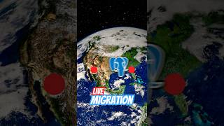 Live migrating PostgreSQL every 3s #postgresql #aws #migration