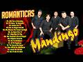 Grupo Mandingo - Mix Sus Mejores Éxitos 2026 - Grupo Mandingo Viejitas Romanticas Éxitos