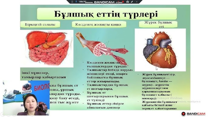 Кушина туралы порно