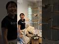 猫が面白過ぎる #札幌の姉弟 #札幌 #北海道 #猫 #猫のいる暮らし #ドッキリ #コント