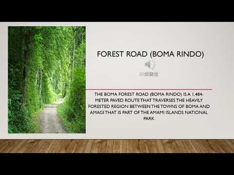 母間林道 英語ver Youtube
