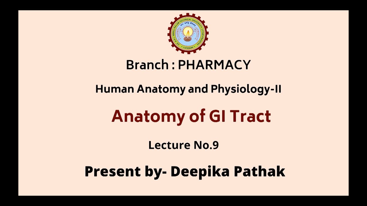 Human Anatomy & Physiology-II | Anatomy of GI Tract | AKTU Digital Education
