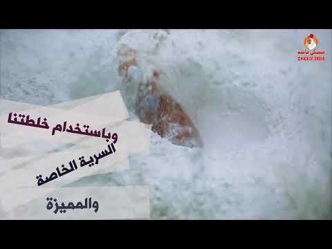 اعلان تشيكن باشه1 اعلان تشيكن باشه1