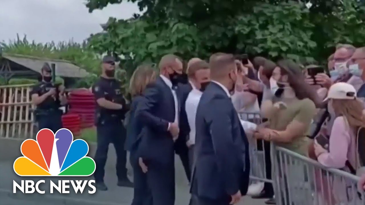 French President Macron Gets Slapped In Face During Meet & Greet