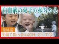 白血病と闘う双子#3 440日ぶりに我が家へ そして今…