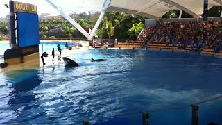 Tenerife Loro Parque