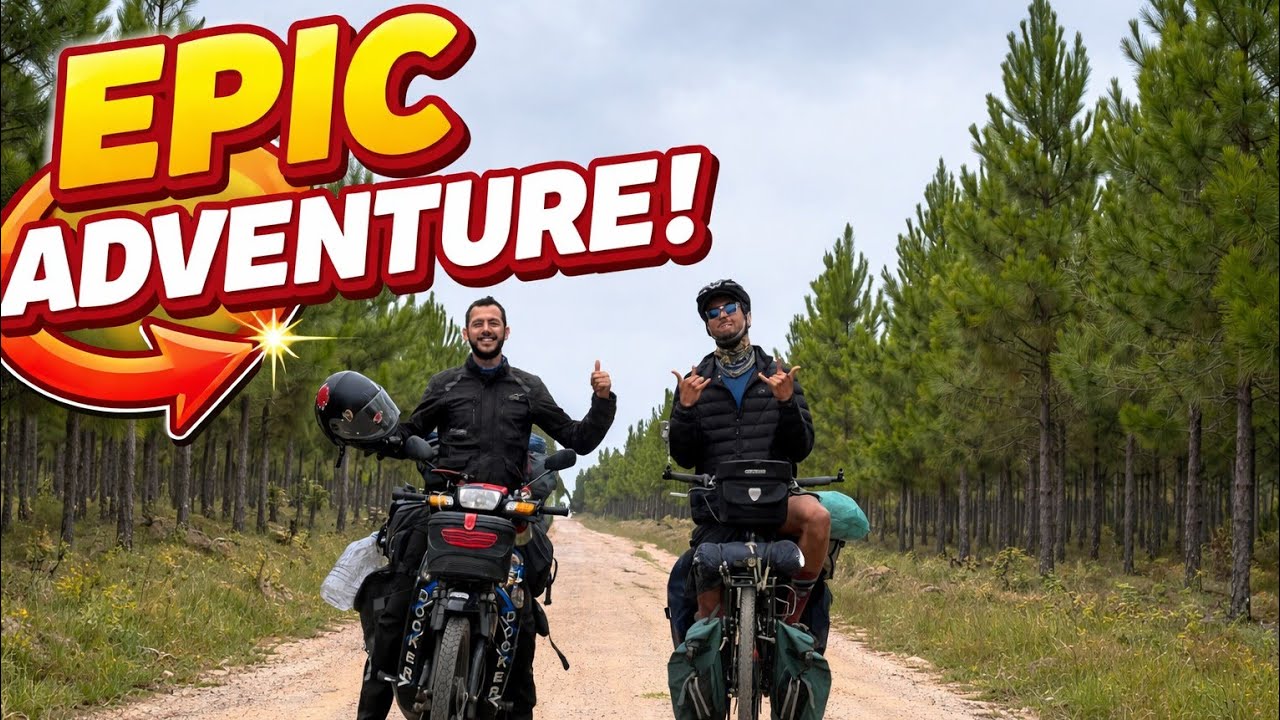 V187:🇿🇦 أخيراً تلاقيت مع هشام مول C50 😱 @feelbikhir 