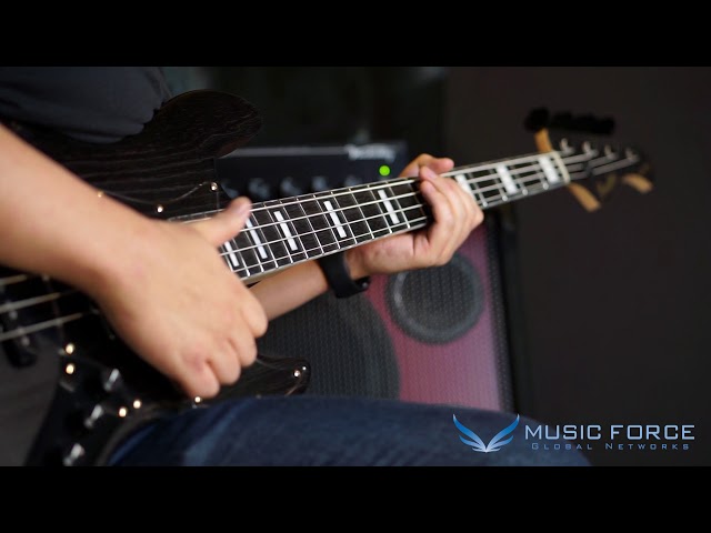 [MusicForce] Bacchus Japan Handmade Series Woodline DX4 Demo